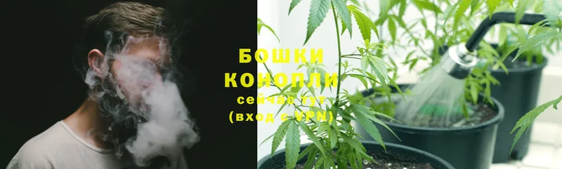 купить закладку  Жирновск  Бошки Шишки SATIVA & INDICA 